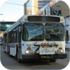 St Albert Transit